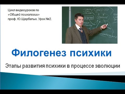 Видео: Филогенез психики - эволюция психики