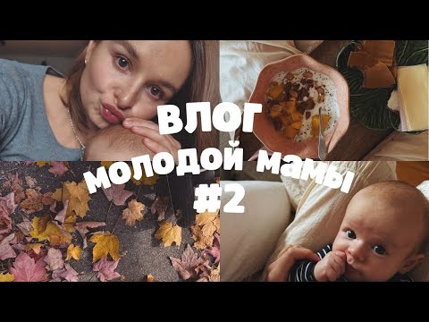 Видео: готовим ЧИЗКЕЙК, хаос и ИСТЕРИКИ дома - обычная жизнь с малышом