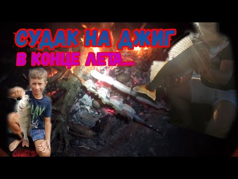 Видео: Плюнул на все, и уехал с СЫНОМ на ночевку...Судак на джиг...