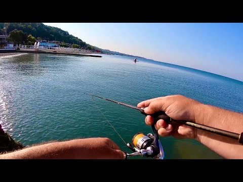 Видео: Рыбалка на Черном море .