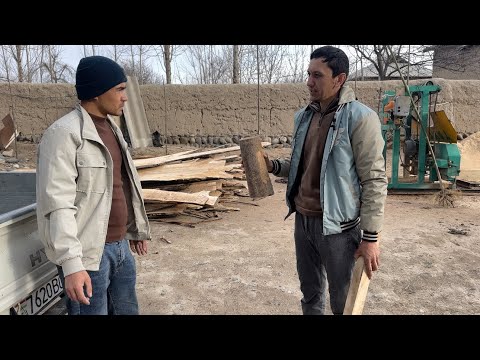 Видео: Павлония / кора сар мекунем бачаҳо