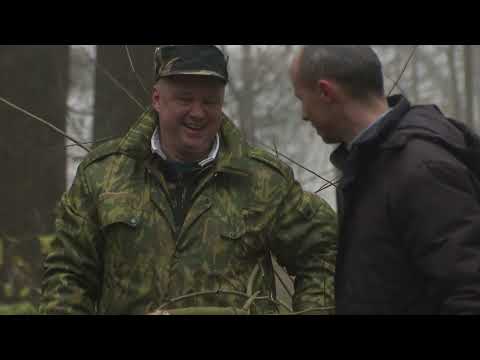 Видео: Парк четырех стихий преобразился после масштабного субботника