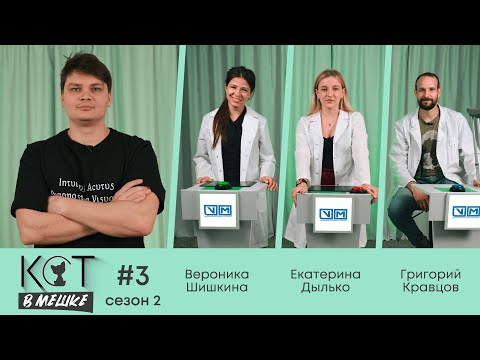 Видео: Кот в мешке #3 Сезон 2. Шишкина, Дылько, Кравцов