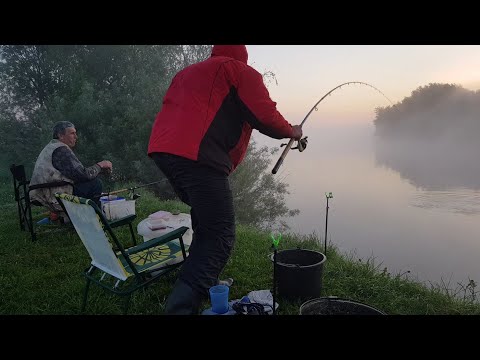 Видео: Лещ с Первого Заброса!! Мощные Лещёвые Поклёвки. Фидер на Днепре. Рыбалка с Ночёвкой. Драники.