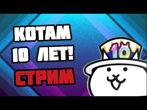 Видео: Котам 10 лет!