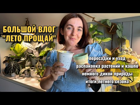 Видео: 💚Зеленый влог: пересадка и уход, распаковки, итоги сезона и многое другое🤗