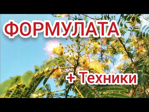 Видео: ФОРМУЛАТА за УСПЕХ и ЩАСТИЕ + ТЕХНИКИ | @ВЕКТОР