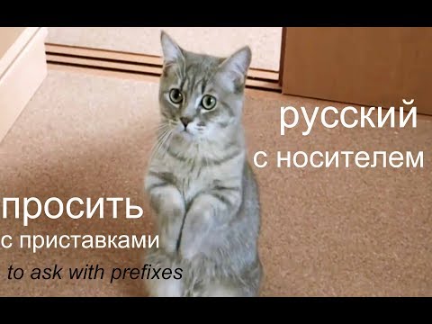 Видео: № 411 ПРОСИТЬ