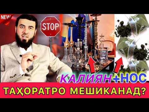 Видео: ЧАРО НОС ВА КАЛИЯН ТАҲОРАТРО НАМЕШИКАНАД Ё НЕ! ДОМУЛЛО СУҲРОБИ ОДИЛИЁН 2024.