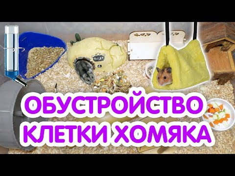 Видео: Как обустроить клетку для сирийского и джунгарского хомяка? Что должно быть в клетке