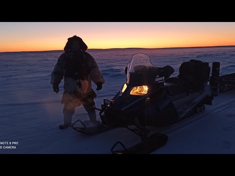 Видео: Передовая Чукотских оленеводов, нашествие Волков