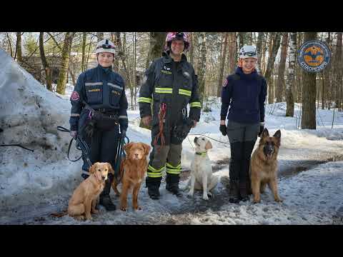 Видео: Подготовка кинологических расчетов ОПСО "СпасРезерв".