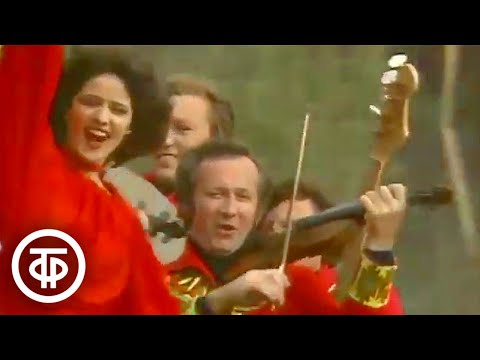 Видео: ВИА "Оризонт" - песня "Свадебная". Времена года (1984)