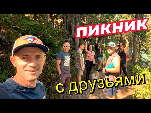 Видео: Пикник в Лесу с друзьями