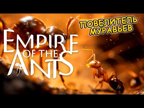 Видео: Управляю Империей Муравьев Empire of the Ants