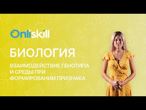 Видео: Биология 11 класс: Взаимодействие генотипа и окружающей среды