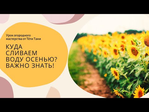 Видео: Куда сливаем  воду осенью?