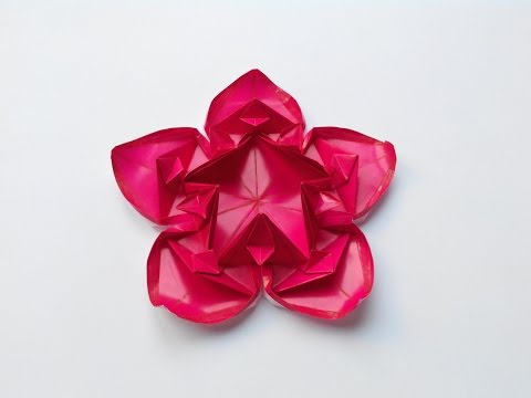 Видео: Цветок 10 (Алексей Жигулёв), Flower 10