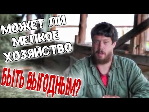 Видео: Может ли мелкое хозяйство быть выгодным?