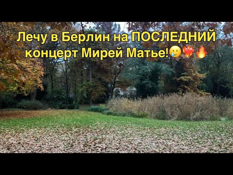 Видео: Какие-такие санкции?! 😁 Нет никаких санкций!