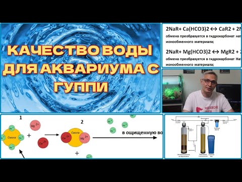 Видео: КАЧЕСТВО ВОДЫ ДЛЯ АКВАРИУМА С ГУППИ / WATER QUALITY FOR AQUARIUM WITH GUPPIES