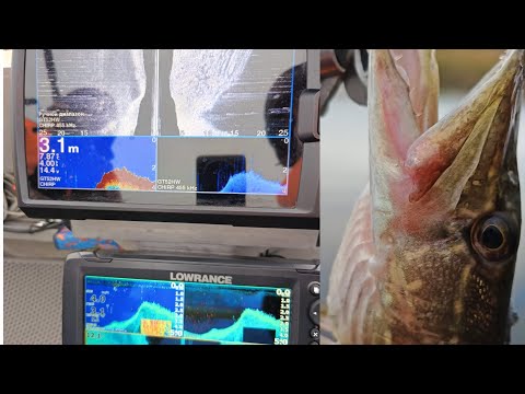 Видео: LOWRANCE  Hook Reveal 9 Triple Shot или GARMIN Striker 9 SV. Тест-сравнение на воде + рыбалка.