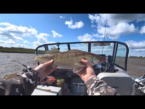 Видео: Первая рыбалка на Иртыше 2025