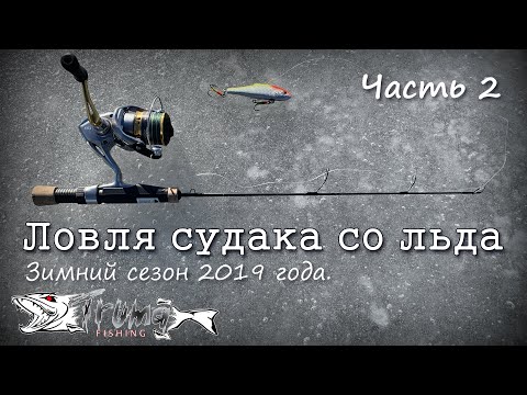 Видео: Ловля судака со льда на вибы. Часть 2.