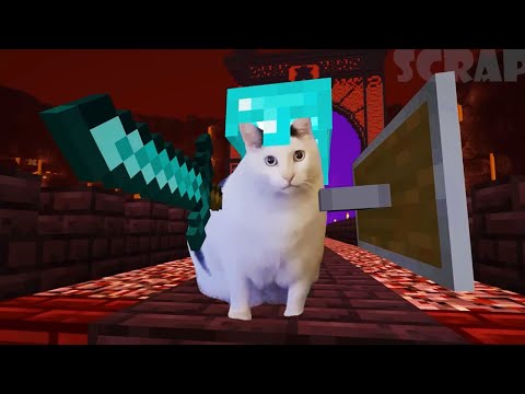 Видео: Мемы про котов и собак в Minecraft! — Часть 1