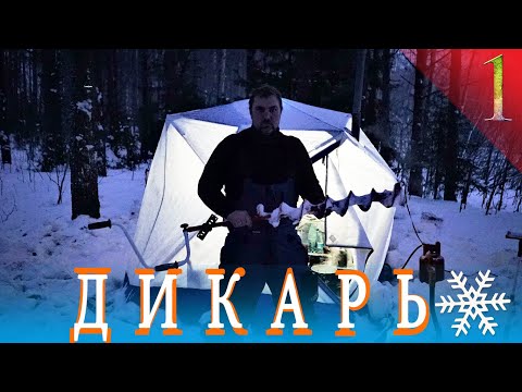 Видео: Дикарь. Один в лесу в -20. Не поймаю - не поем. Из еды только соль. Часть 1 ЗИМА