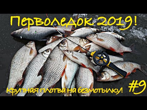 Видео: Первый лед 2019! Ловля крупной плотвы в реке на безмотылку! Зимняя рыбалка 2019.
