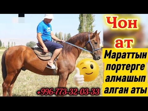 Видео: Мараттын портерге алмашып алган аты