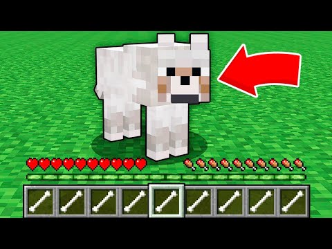 Видео: ЯК ГРАТИ ЗА СОБАКУ У МАЙНКРАФТІ