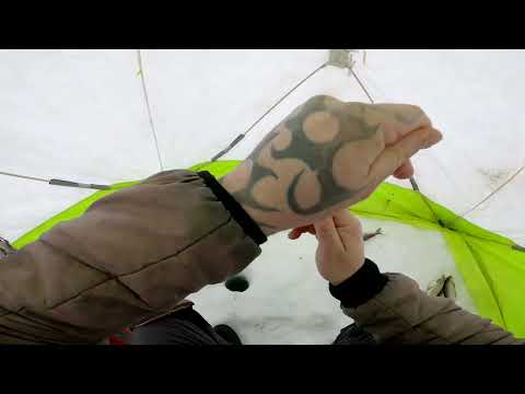 Видео: Наконец-то рыбалка. Рыбалка с трофеями.