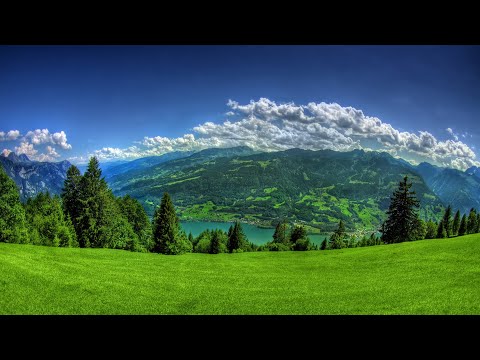 Видео: Өмір деген