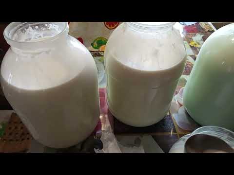 Видео: Что можно приготовить из 9 л молока,мой опыт.Жизнь моя в деревне