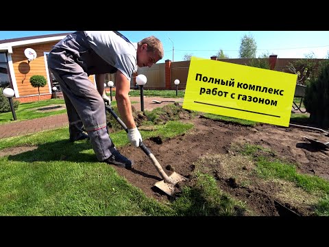 Видео: Ремонт газона, укладка рулонов, автополив