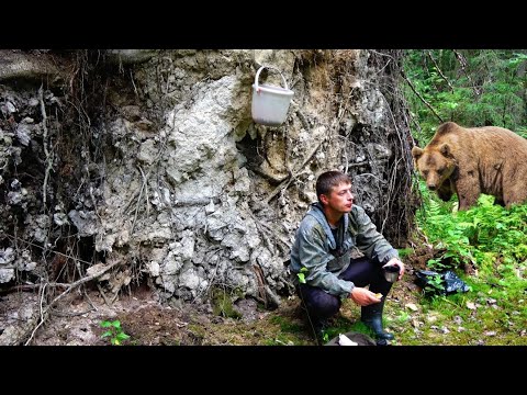 Видео: ЖУТКАЯ ВСТРЕЧА С МЕДВЕМ В МАЛИННИКЕ. ОДИН в ГЛУХОМ ЛЕСУ. ЭВАКУАЦИЯ ВЕЗДЕХОДА! 20 КМ ПО ТАЁЖНОЙ РЕКЕ