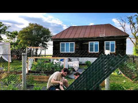 Видео: Обновляем ЗАБОР в доме в деревне. ЗАГОН для кур и СБОР ягод и грибов