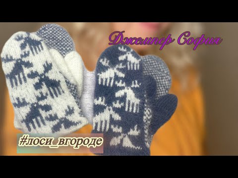 Видео: «Осторожно, ЛОСИ! Вызывают привыкание//Джемпер или футболка?