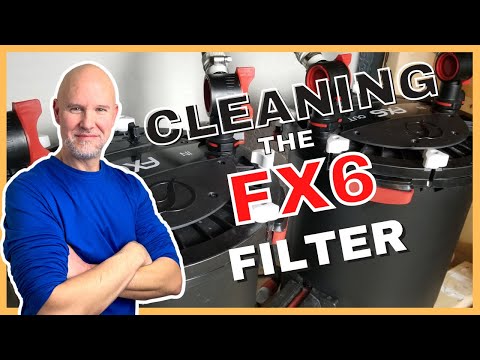 Видео: Как БЕЗОПАСНО ОЧИСТИТЬ ФИЛЬТР-КАНИСТР Fx6