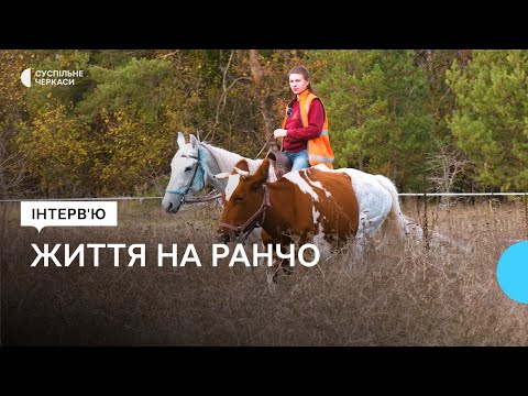 Видео: «Їхня енергетика дуже сильна», —  власниця ранчо про врятованих від забою тварин