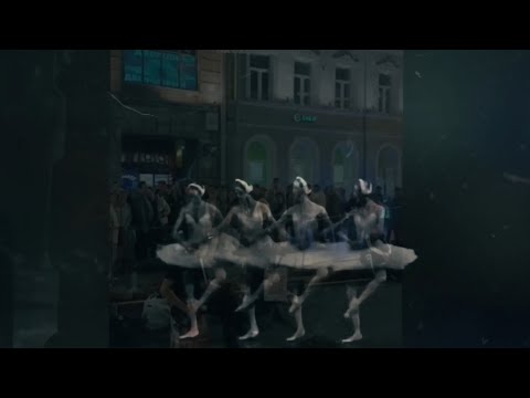 Видео: Пусть танцуют лебеди 