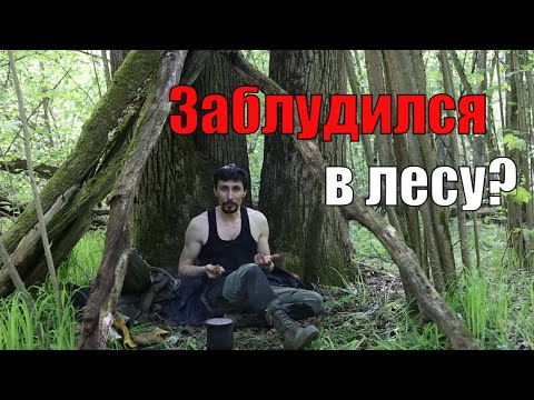 Видео: Что делать, если заблудился в лесу!