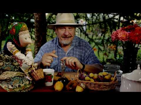 Видео: Мушиные вопросы 4 С.В Савельев