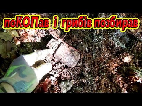 Видео: WWII Metal Detecting. / Коп по війні в Карпатах. ( 53 )