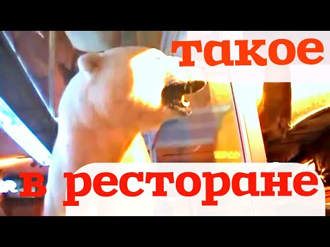 Видео: Пошли с мужем в ресторан, а там такое !  Ресторан музей в Американской глубинке.