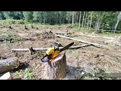 Видео: Chаmpion 362.Реальный отзыв не профессионала о  бензопиле.