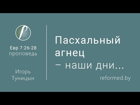 Видео: Пасхальный агнец  – наши дни... Евр.7:26-28 / Игорь Туницын // 19.04.2020