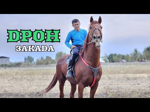 Видео: Закада ИШЕНГЕН АТ ДРОН